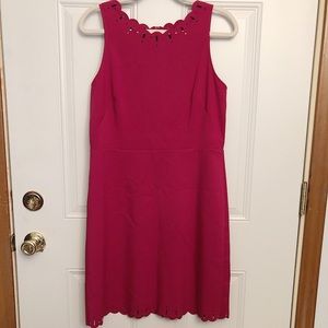 LOFT Fushcia Dress